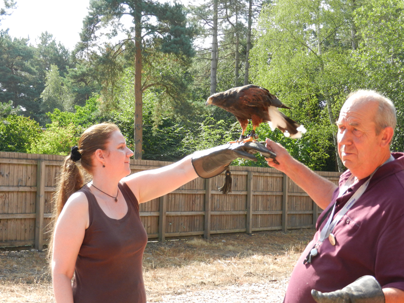 CP2018 Falconry