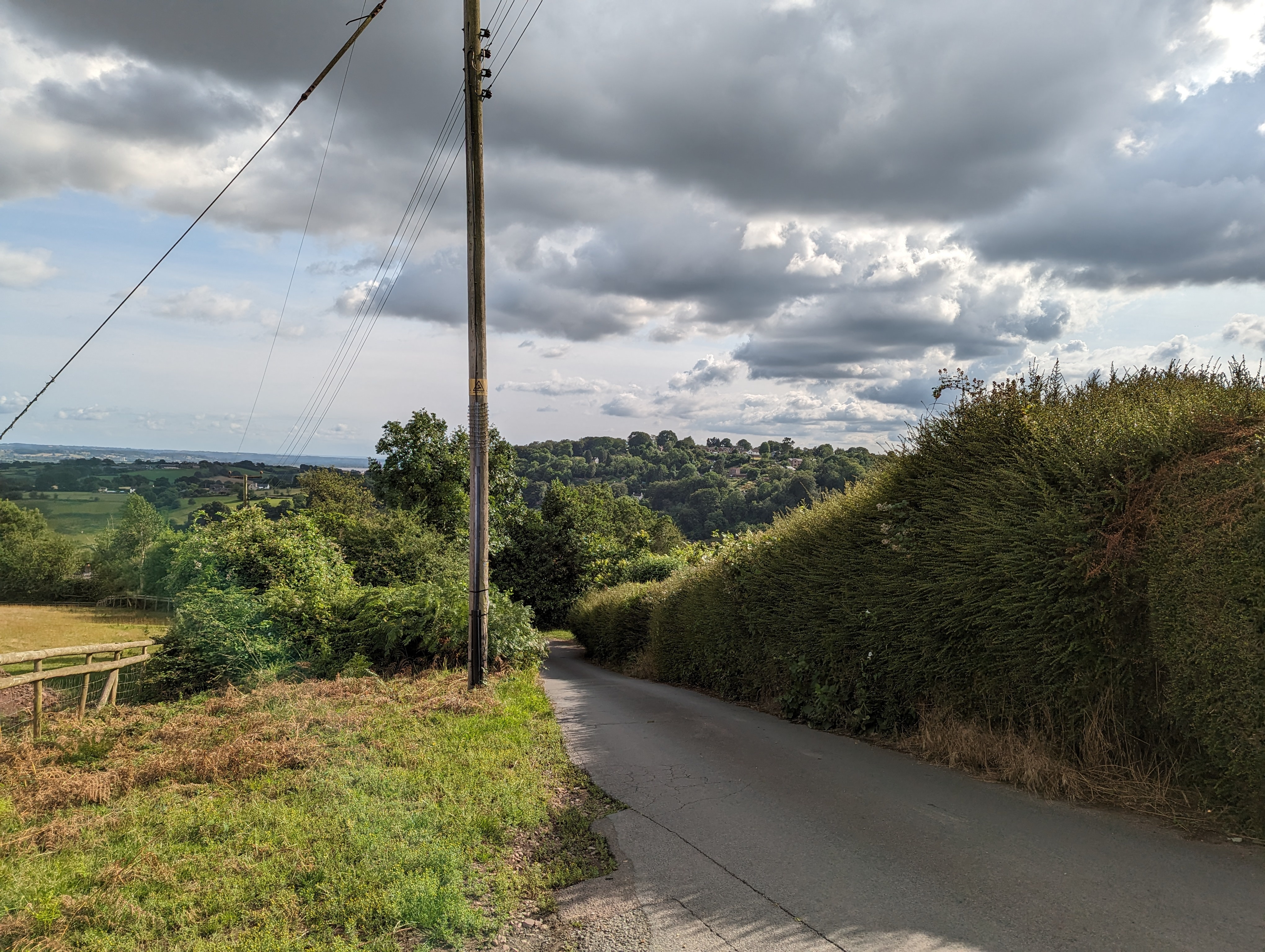 Forest of Dean
